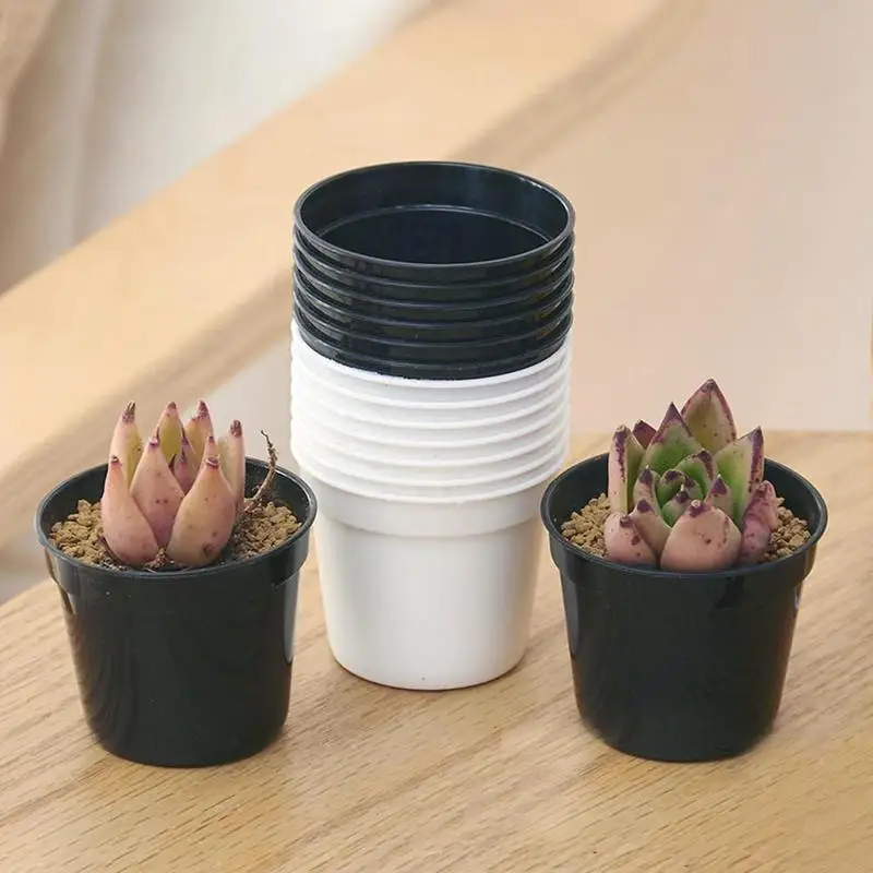 5pcs Mini Round Plastic Flower Pot For Garden Home Office Decor Black White Nursery Pots Green Plant Planters With Venting Hole
5pcs Mini Round Plastic Flower Pot For Garden Home Office Decor Black White Nursery Pots Green Plant Planters With Venting Hole