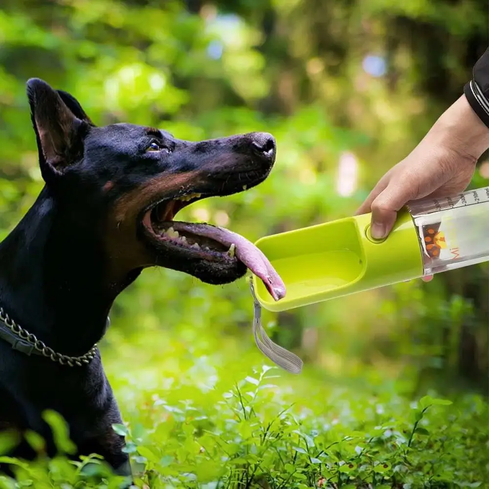 Diliberto 3 colors Portable pet water for cat dog drinking water dispenser pet drinking bottle outdoor
Diliberto 3 colors Portable pet water for cat dog drinking water dispenser pet drinking bottle outdoor