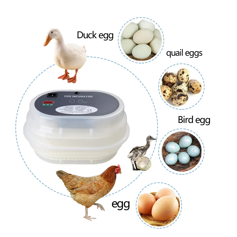 Home Use Automatic Chicken Duck Egg Hatcher Digital Hatching 12 Eggs Incubator EU Plug
Home Use Automatic Chicken Duck Egg Hatcher Digital Hatching 12 Eggs Incubator EU Plug