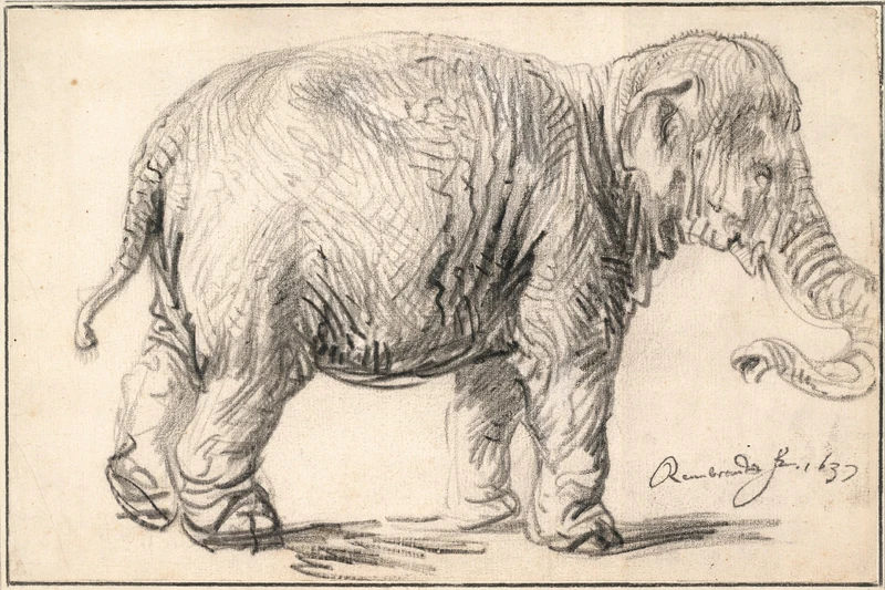 frameless canvas painting animal posters modern art decoration cartoon picture sketch drawing an elephant by Rembrandt
frameless canvas painting animal posters modern art decoration cartoon picture sketch drawing an elephant by Rembrandt