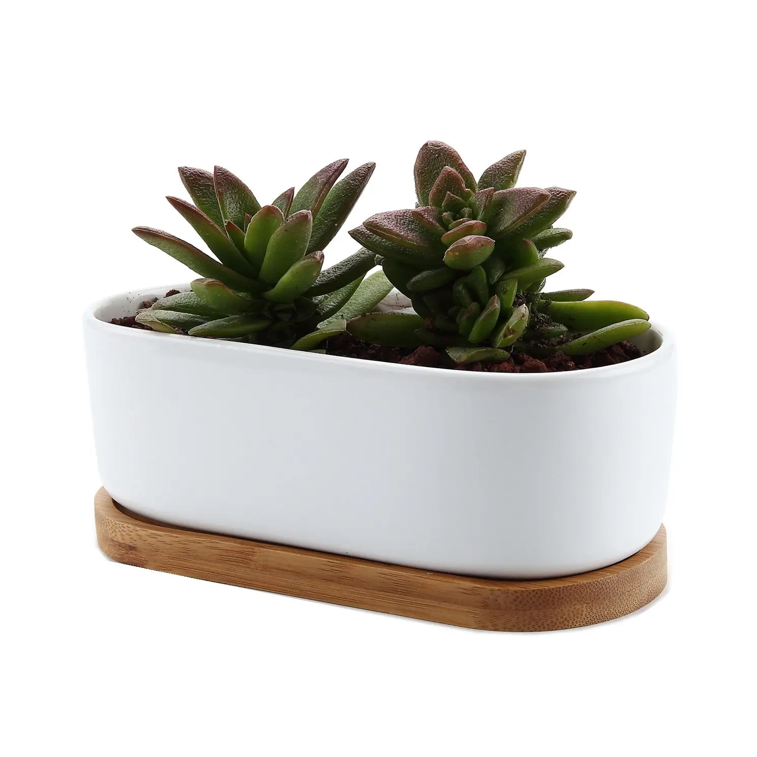 T4U Ceramic Rectangular Succulent flower planter Pot maceta bonsai pots with Bamboo Tray Home Office Decoration
T4U Ceramic Rectangular Succulent flower planter Pot maceta bonsai pots with Bamboo Tray Home Office Decoration