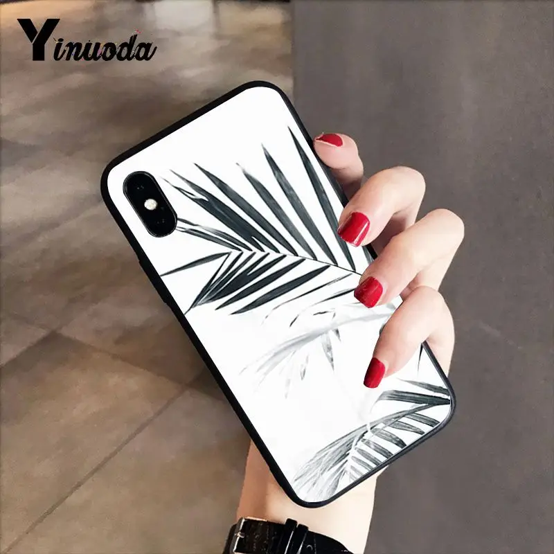Black white palm leaves palm trees
