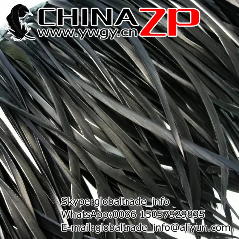 Made in CHINAZP Factory 10yards/lot Selected Good Quality Dyed Black Stripped Goose Biots Feather Trim
Made in CHINAZP Factory 10yards/lot Selected Good Quality Dyed Black Stripped Goose Biots Feather Trim