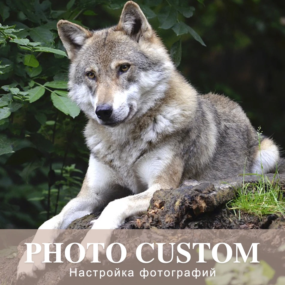 SaShiKo Animals Photo Custom Diamond Painting Full Square Picture of Rhinestone DIY Diamond Mosaic Diamond Embroidery Sale
SaShiKo Animals Photo Custom Diamond Painting Full Square Picture of Rhinestone DIY Diamond Mosaic Diamond Embroidery Sale