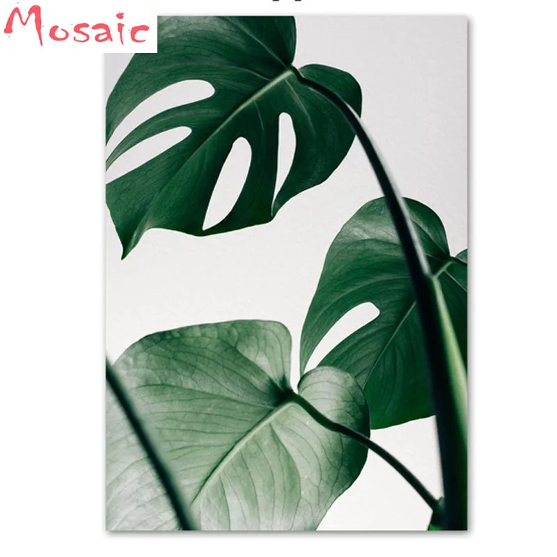 5d DIY Diamond Painting Leaves Full Round/Square Mosaic Diamond Embroidery Plants Wall Pictures Cross Stitch Sticker Home Decor
5d DIY Diamond Painting Leaves Full Round/Square Mosaic Diamond Embroidery Plants Wall Pictures Cross Stitch Sticker Home Decor