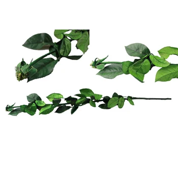 

valentine's day diy gifts 40cm in length Natural Preserved Branch Rose Stem for Grafting Flowers Venue Bridal Home Decoration