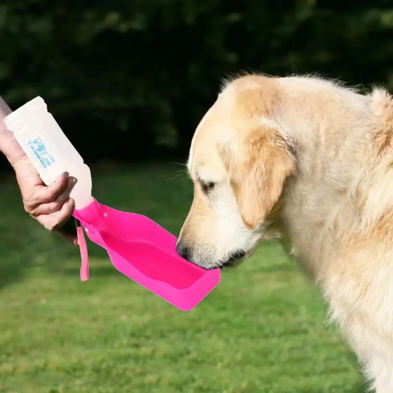 Portable Dog Water Bottle 350ml Feeder Bowl Plastic Pets Outdoor Travel Drinking Tool Kettle No BPA Simple Appearance 24X7cm
Portable Dog Water Bottle 350ml Feeder Bowl Plastic Pets Outdoor Travel Drinking Tool Kettle No BPA Simple Appearance 24X7cm