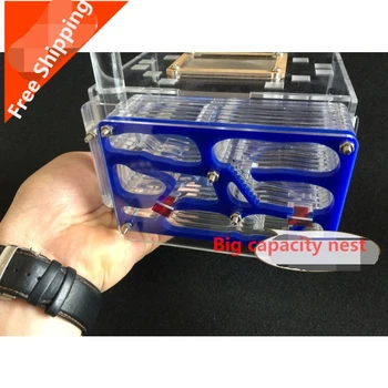 Big Capacity 145X145X90MM Ants Nest Ants Blue Workshop Castle Home Children Science Biological Class Abservation DIY Toys Gifts
Big Capacity 145X145X90MM Ants Nest Ants Blue Workshop Castle Home Children Science Biological Class Abservation DIY Toys Gifts