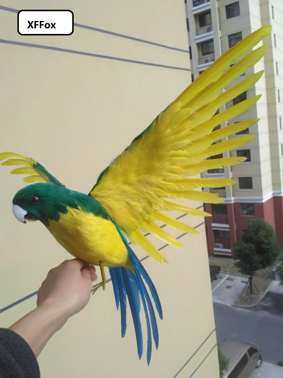 big real life wings parrot model foam&feather dark green&yellow simulation parrot bird gift about 45x60cm xf0314
big real life wings parrot model foam&feather dark green&yellow simulation parrot bird gift about 45x60cm xf0314