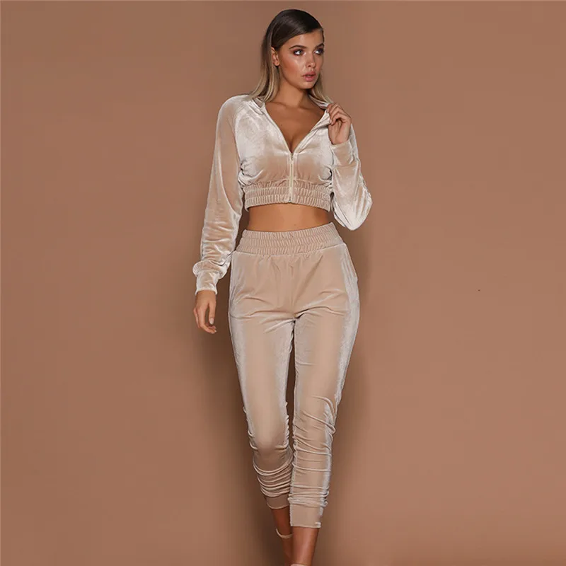 Women 2 piece set Autumn Keep warm Long Sleeve Zip Sweatshirts tracksuit women pleuche Crop tops+ Harem pants Suits
Women 2 piece set Autumn Keep warm Long Sleeve Zip Sweatshirts tracksuit women pleuche Crop tops+ Harem pants Suits