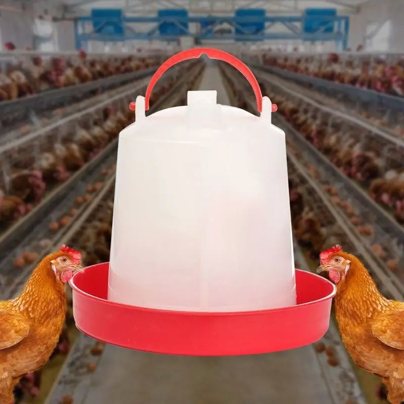 NEW Pets Small Animal Food Feeder Chicks Hen Poultry Bowl Handle Lid Handle Chicks Drinking Chicken Feeding Watering Supplies
NEW Pets Small Animal Food Feeder Chicks Hen Poultry Bowl Handle Lid Handle Chicks Drinking Chicken Feeding Watering Supplies