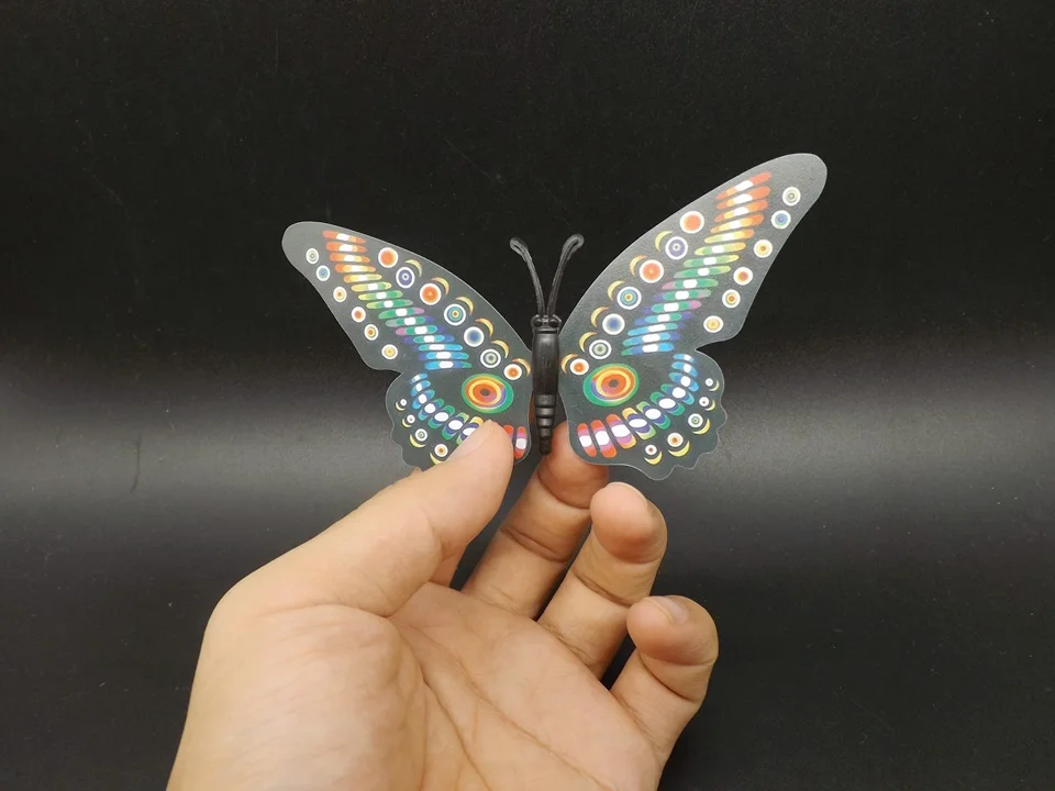I199-Butterfly (3)