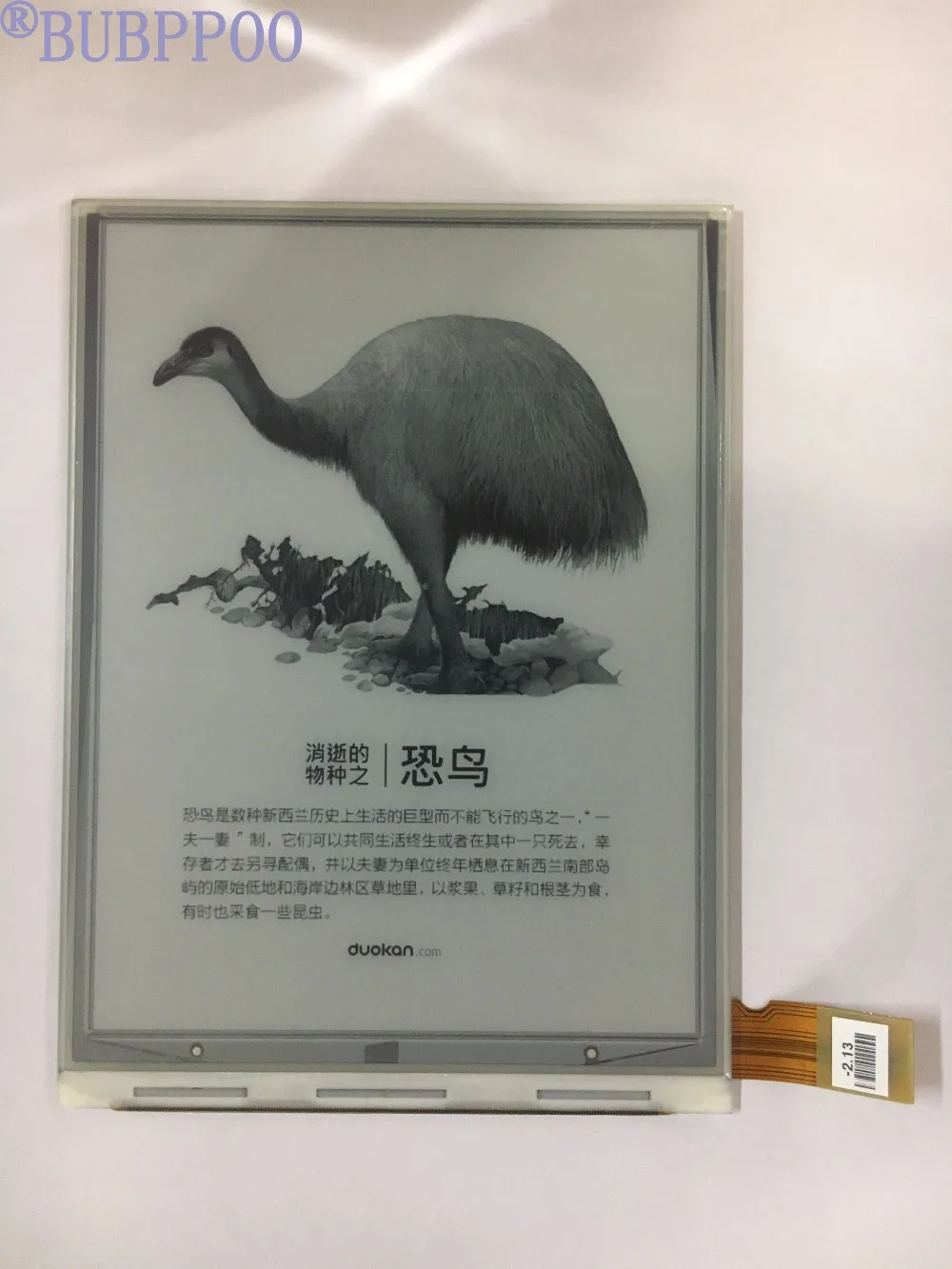 original PVI 6 inch ED060SCE ED060SCE(LF)T1 E-ink display for NOOK2 SONY PRS-T2 PRS-T1 free shipping
original PVI 6 inch ED060SCE ED060SCE(LF)T1 E-ink display for NOOK2 SONY PRS-T2 PRS-T1 free shipping