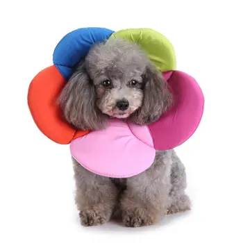 Creative Flower Pet Protection Collar Collar Dog Protection Cover Cow Flower Protection Collar Pet Grooming Set Medical Kit
Creative Flower Pet Protection Collar Collar Dog Protection Cover Cow Flower Protection Collar Pet Grooming Set Medical Kit