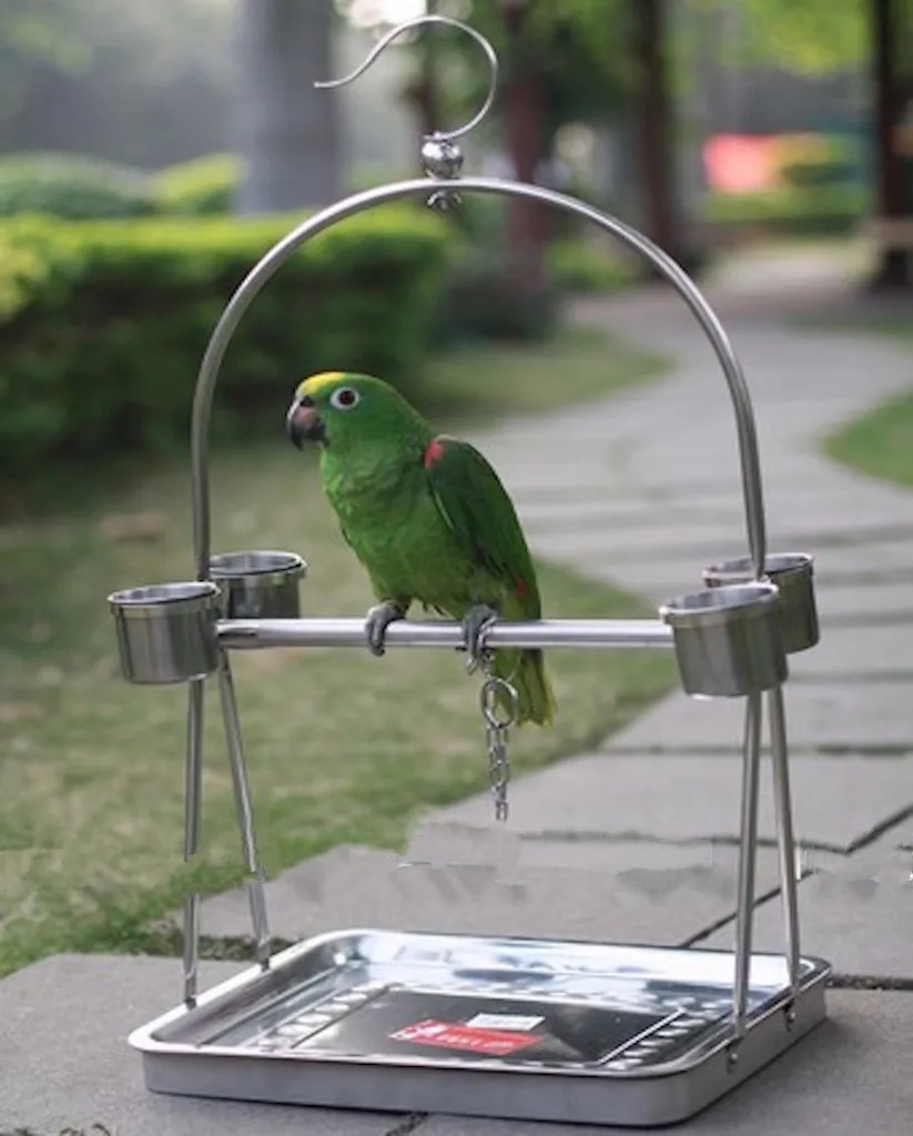 Stainless Steel Parrot Stand Holder / Bird Cage Shelf Rack Contains Bangle -portable Decorativas Hot Sale
Stainless Steel Parrot Stand Holder / Bird Cage Shelf Rack Contains Bangle -portable Decorativas Hot Sale