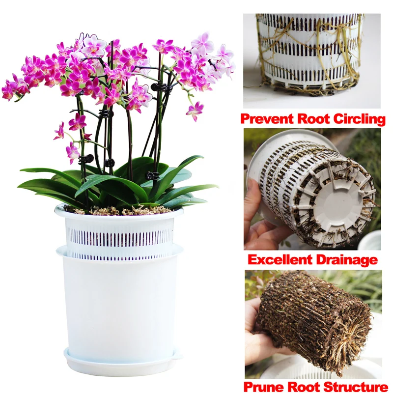 Meshpot 5 6 8 Inches Plastic Orchid Pot With Holes,Flower Pot Planter Pot Garden Pot Orchid Planter Container,Excellent Drainage
Meshpot 5 6 8 Inches Plastic Orchid Pot With Holes,Flower Pot Planter Pot Garden Pot Orchid Planter Container,Excellent Drainage