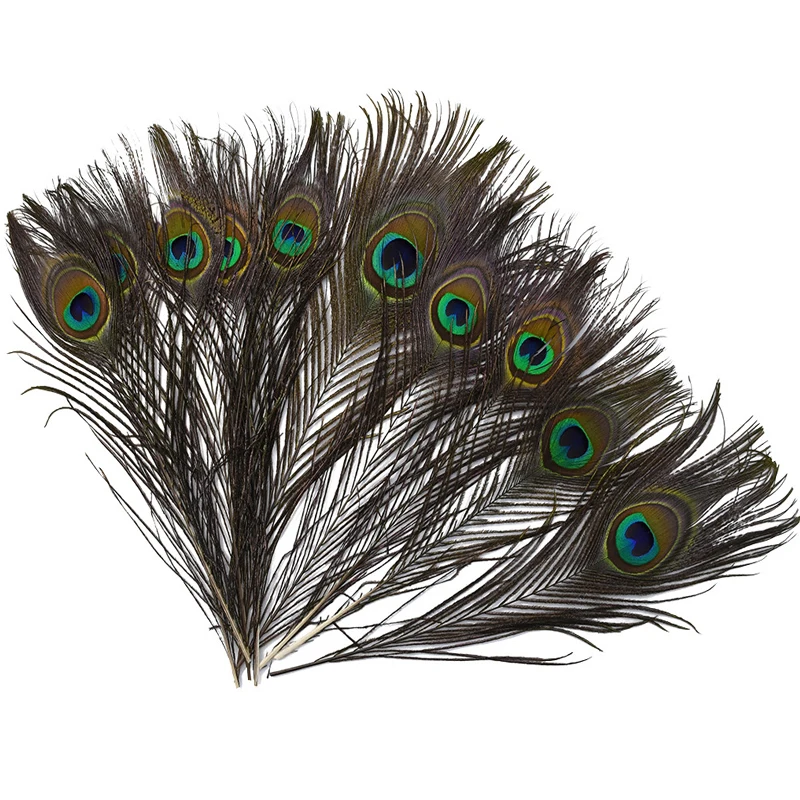 10Pcs/lot Gypsy Turkish Peacock Feather Accessories DIY Clothing Hair Decoration Costumes Accessories Indian Party Jewelry
10Pcs/lot Gypsy Turkish Peacock Feather Accessories DIY Clothing Hair Decoration Costumes Accessories Indian Party Jewelry