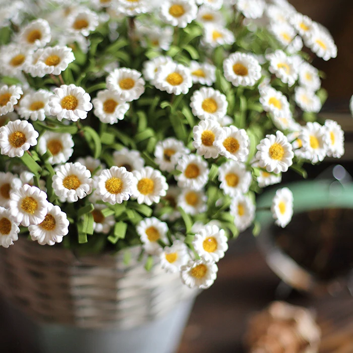 Indoor plants Artificial Flower Wedding decoration set festive Party supplies photography Festival Home Decor
Indoor plants Artificial Flower Wedding decoration set festive Party supplies photography Festival Home Decor
