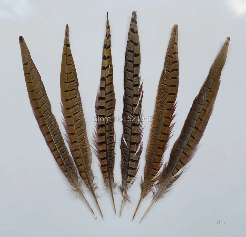 25-30cm