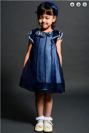 free shipping 2014 blue Organza new style princess dress party Girl's Pageant Gowns Formal Flower Girl Dresses
free shipping 2014 blue Organza new style princess dress party Girl's Pageant Gowns Formal Flower Girl Dresses