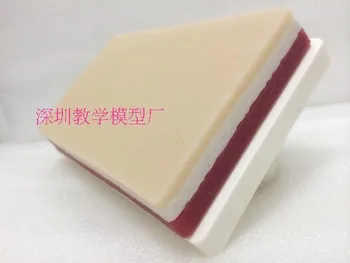 Simulation human Skin Suture Training Model with Holder/ Suture Practice Pad /Wound Closure Pad (Excluding sponge impurities)
Simulation human Skin Suture Training Model with Holder/ Suture Practice Pad /Wound Closure Pad (Excluding sponge impurities)