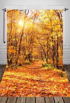 HUAYI Autumn Backdrops Background For Photo Studio Children Backdrop Photography Background Baby photo props Xt-4259
HUAYI Autumn Backdrops Background For Photo Studio Children Backdrop Photography Background Baby photo props Xt-4259