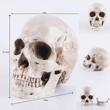 Statues Sculptures Skull Human Africa Home Decor Skull For Decoration Animal Skulls Abstract Sculpture Resin Skeleton Carving
Statues Sculptures Skull Human Africa Home Decor Skull For Decoration Animal Skulls Abstract Sculpture Resin Skeleton Carving