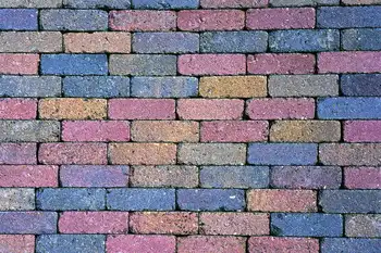 Colorful brick wall Custom Photography Studio Backgrounds Vinyl free shipping 5X7ft
Colorful brick wall Custom Photography Studio Backgrounds Vinyl free shipping 5X7ft