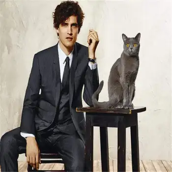 Grey Latest Coat Pant Designs Vertical Striped Formal Men Blazer Men Suit for Wedding Slim Fit Tuxedo Party 3 Pieces
Grey Latest Coat Pant Designs Vertical Striped Formal Men Blazer Men Suit for Wedding Slim Fit Tuxedo Party 3 Pieces