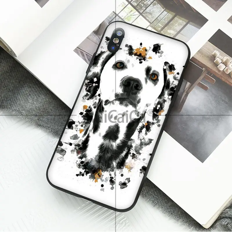 Animal Dog Tiger Panda Wolf Art