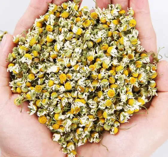 New dry fresh samll Chamomile leaves flower 500g
New dry fresh samll Chamomile leaves flower 500g