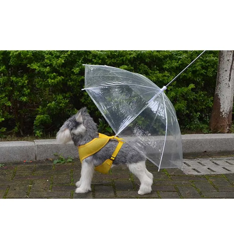 Dog Traction rope collar Rainy Waterproof Pet Umbrella Dog Transparent Umbrella Raincoat With Leash FG
Dog Traction rope collar Rainy Waterproof Pet Umbrella Dog Transparent Umbrella Raincoat With Leash FG