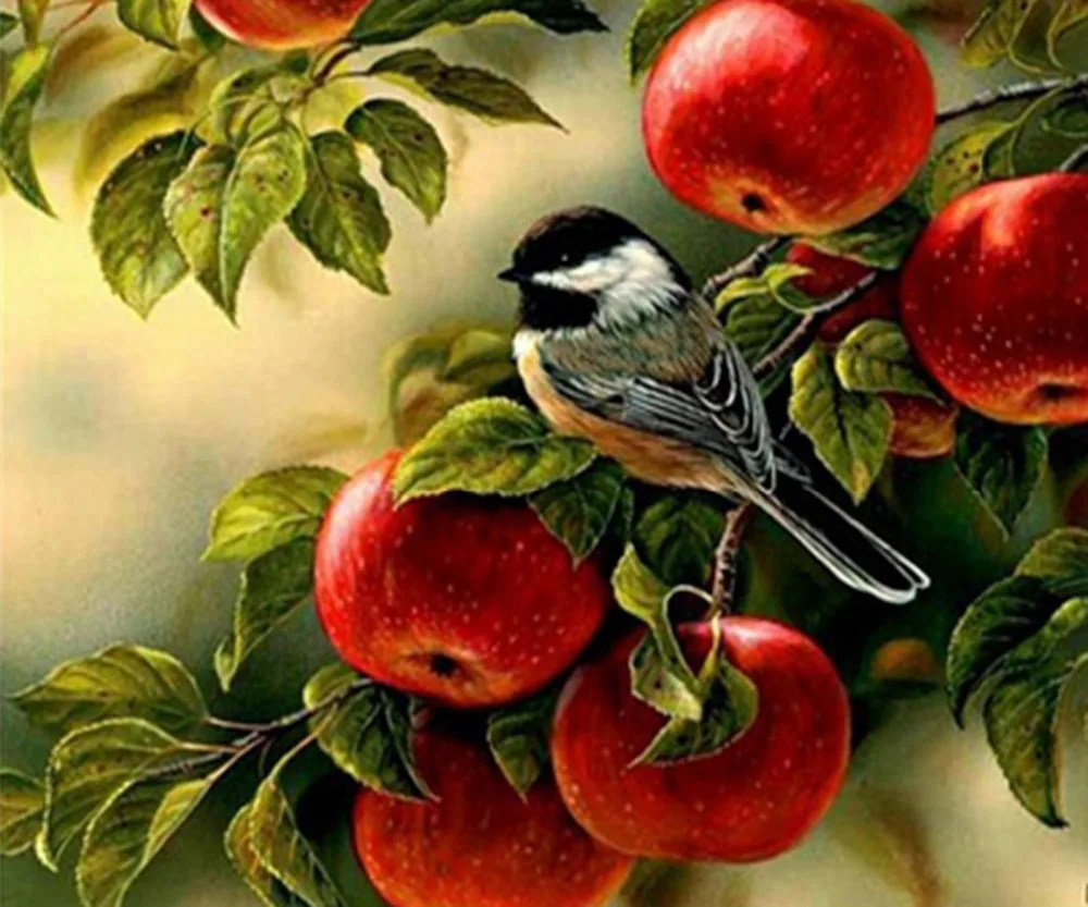 Diy Diamond Painting Cross Stitch Red Apple & Bird On Tree Needlework Diamond Embroidery Full Round Mosaic Decoration Resin Kits
Diy Diamond Painting Cross Stitch Red Apple & Bird On Tree Needlework Diamond Embroidery Full Round Mosaic Decoration Resin Kits