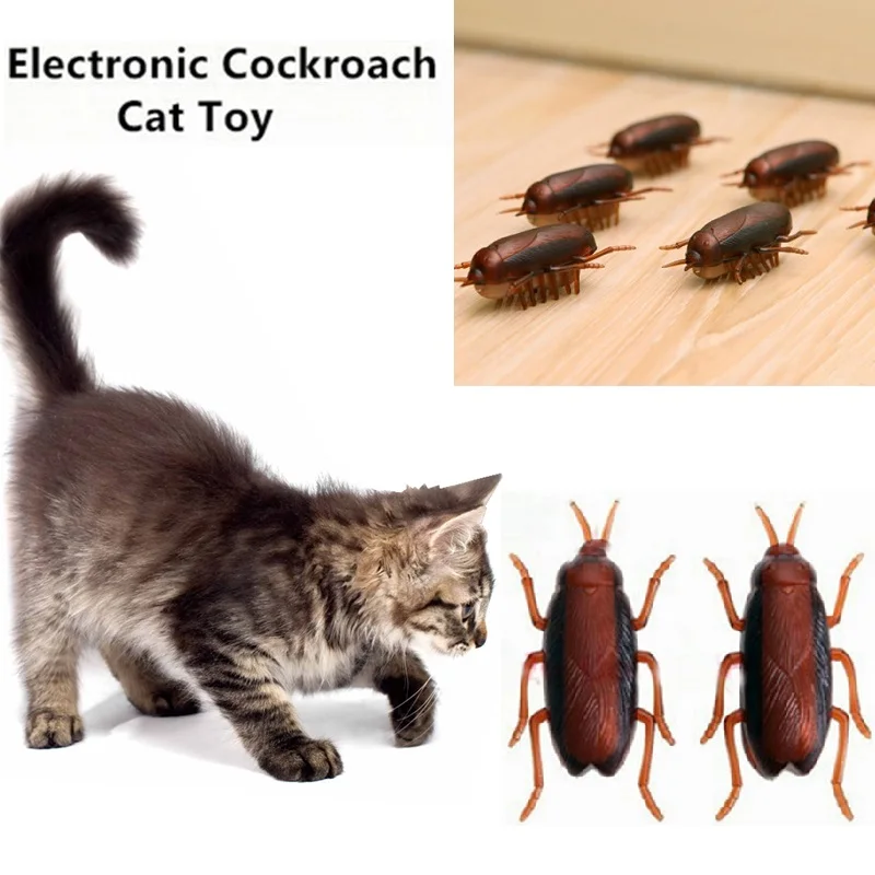 New Arrivals Pet Supplies Electronic Cats Toy with Battery Cockroach Cat Toy Interactive Training Toys Fun
New Arrivals Pet Supplies Electronic Cats Toy with Battery Cockroach Cat Toy Interactive Training Toys Fun