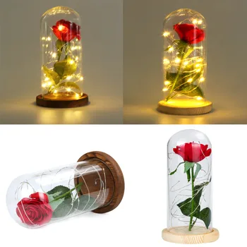 Home Decoration Romantic Simulation Rose Glass Cover Led Micro Landscape Festival Birthday Gift Creative String Light Decor
Home Decoration Romantic Simulation Rose Glass Cover Led Micro Landscape Festival Birthday Gift Creative String Light Decor