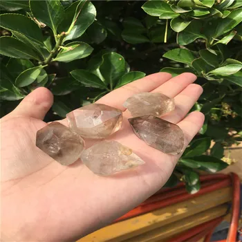 5pcs Natural tea crystal protoplasm treatment
5pcs Natural tea crystal protoplasm treatment