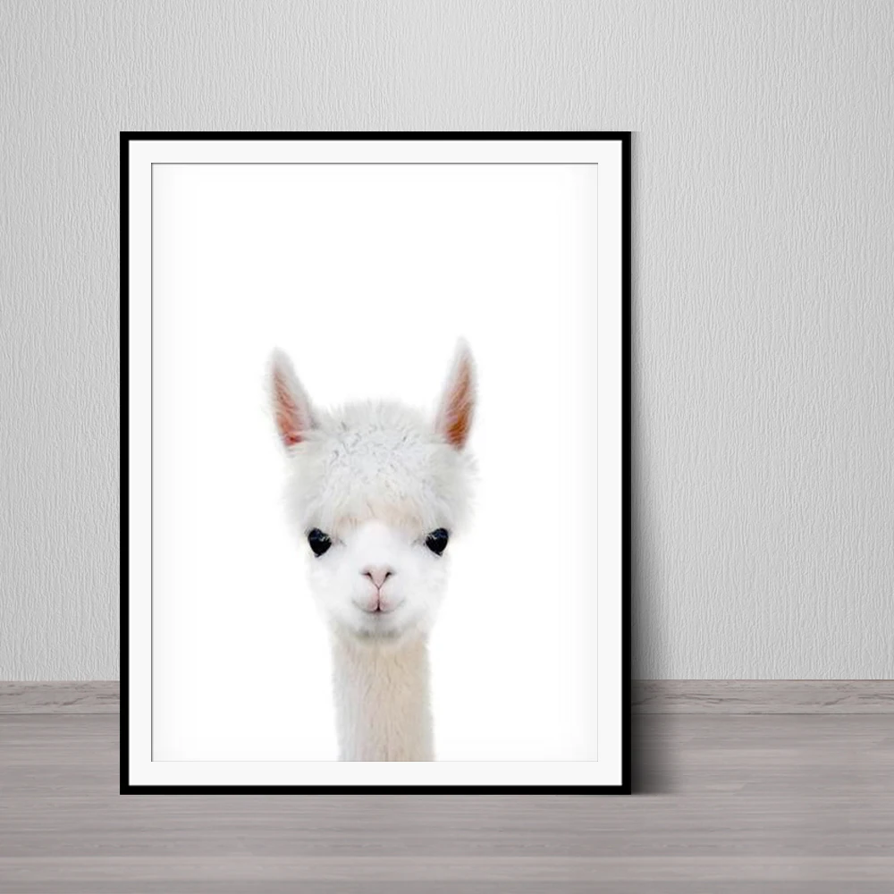 Alpaca Nursery Print Baby Farm Animal Farmhouse Decor Printable Digital Download Kids Room Decor Farm Bedroom Poster
Alpaca Nursery Print Baby Farm Animal Farmhouse Decor Printable Digital Download Kids Room Decor Farm Bedroom Poster