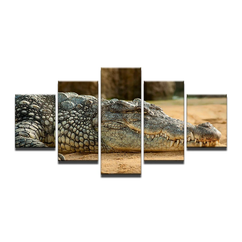 5 Pcs Crocodile Wall Art For Wall Decor Home Decoration Picture Paint on Canvas Prints Painting Poster
5 Pcs Crocodile Wall Art For Wall Decor Home Decoration Picture Paint on Canvas Prints Painting Poster