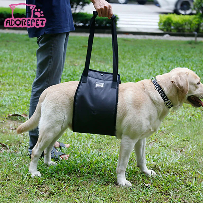 Dog Lift Support Harness Support Sling Helps Dogs With Weak Front or Rear Legs Stand Up Walk Get Into Cars Climb Stairs
Dog Lift Support Harness Support Sling Helps Dogs With Weak Front or Rear Legs Stand Up Walk Get Into Cars Climb Stairs