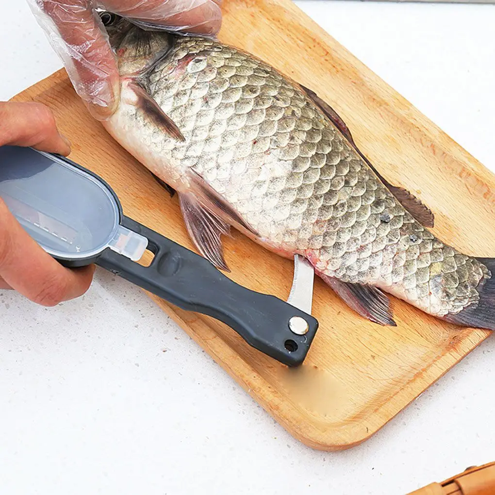 

Portable Fish Scales Skin Remover Scaler Fast Cleaning Fish Skin Stainless Steel Scraper Kitchenware Clean Peeler Tool
