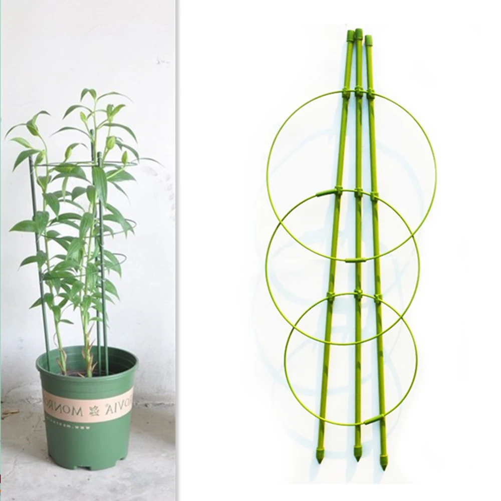 1PC Useful Garden Plant Support Climbing Plants 45cm Conical Trellis Support Frame Plant Support & Care
1PC Useful Garden Plant Support Climbing Plants 45cm Conical Trellis Support Frame Plant Support & Care