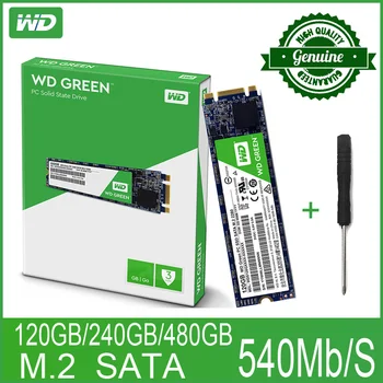 

WD Green PC SSD 120GB 240GB 480GB Internal Solid State Hard Drive Disk M.2 SATA 2280 540MB/S 120G 240G for Computer Laptop PC