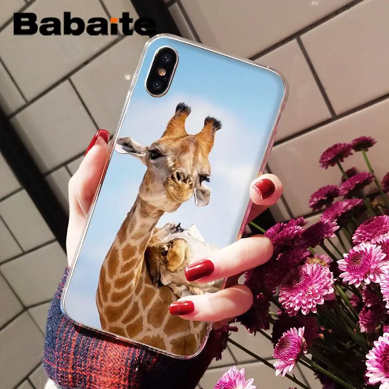 Funny cute painting small animal