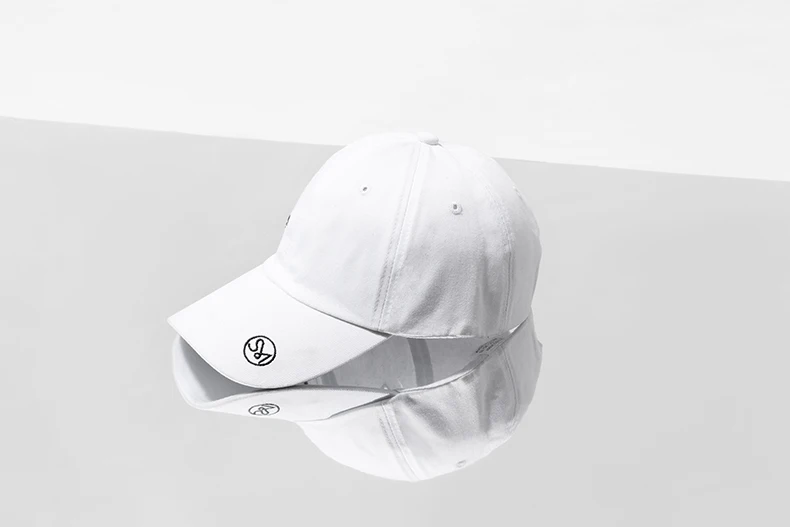 a1