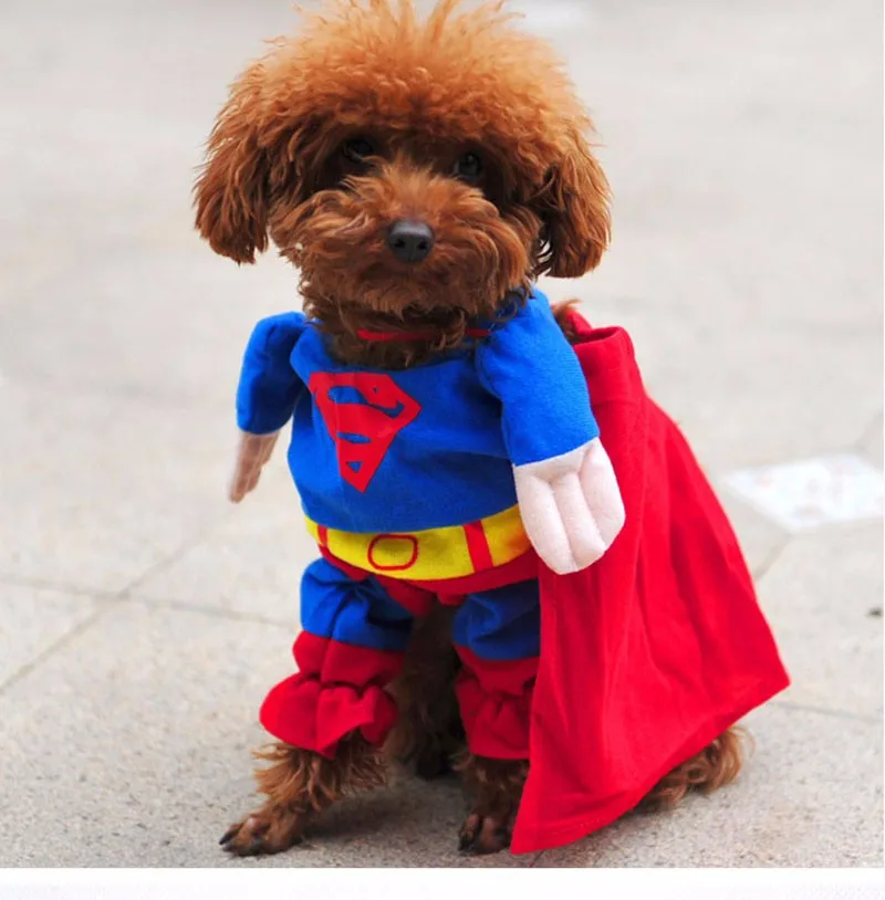 TB23NrUaFXXXXaoXXXXXXXXXXXX_!!1695298396