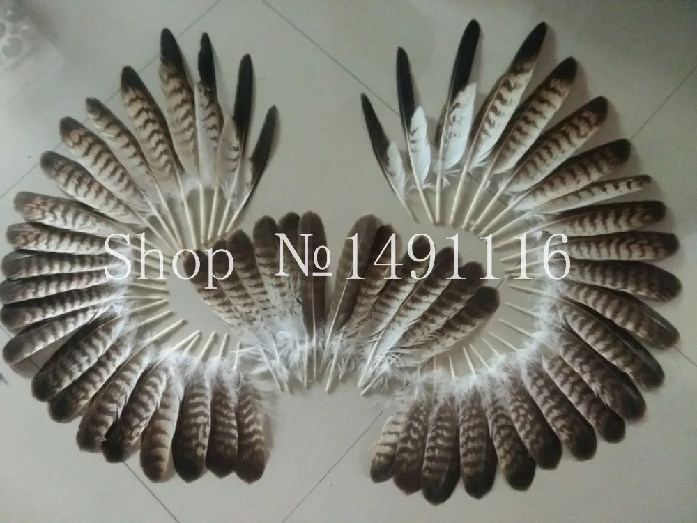 100 pc quality natural eagle feathers, 6-13inches/15-34cm long, DIY jewelry decoration
100 pc quality natural eagle feathers, 6-13inches/15-34cm long, DIY jewelry decoration