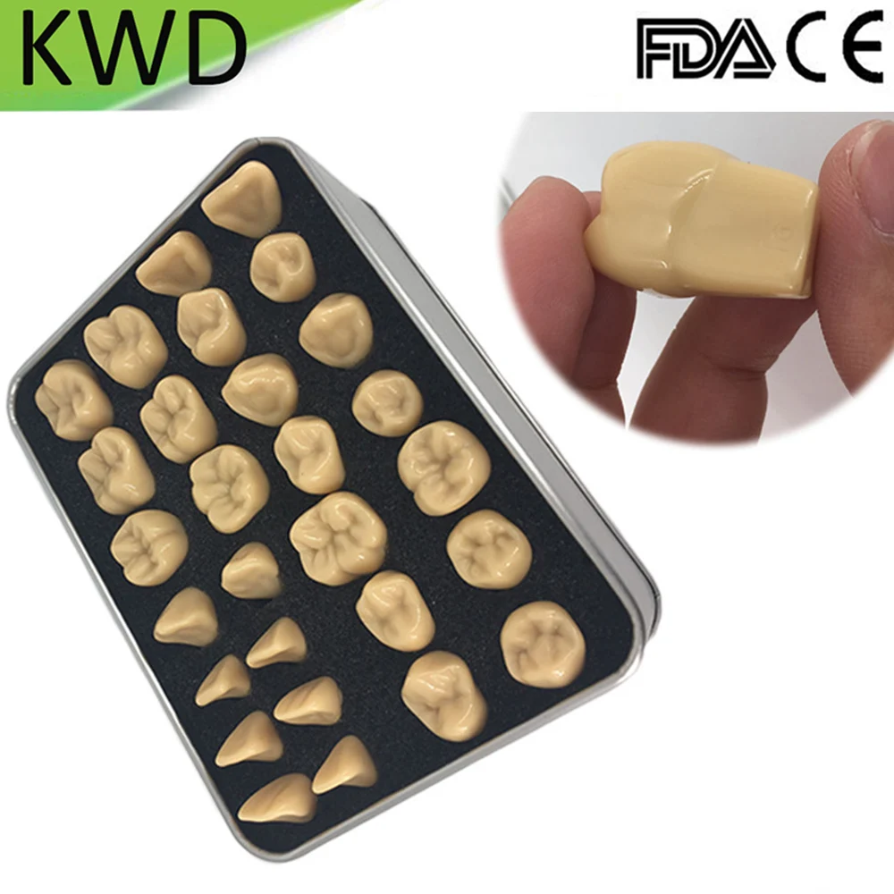 2 Times Carving Teeth Practice Guide Teeth Model for Teaching Oral Prosthetics of Maxillary Surface 28 Pieces
2 Times Carving Teeth Practice Guide Teeth Model for Teaching Oral Prosthetics of Maxillary Surface 28 Pieces