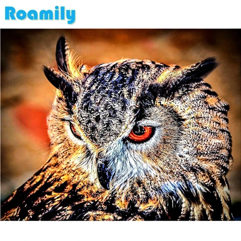 5D Diy Diamond Painting,Cool Owl,Picture By Rhinestones,Square Daimond Painting on Canvas,Broderie Diamant Plein
5D Diy Diamond Painting,Cool Owl,Picture By Rhinestones,Square Daimond Painting on Canvas,Broderie Diamant Plein