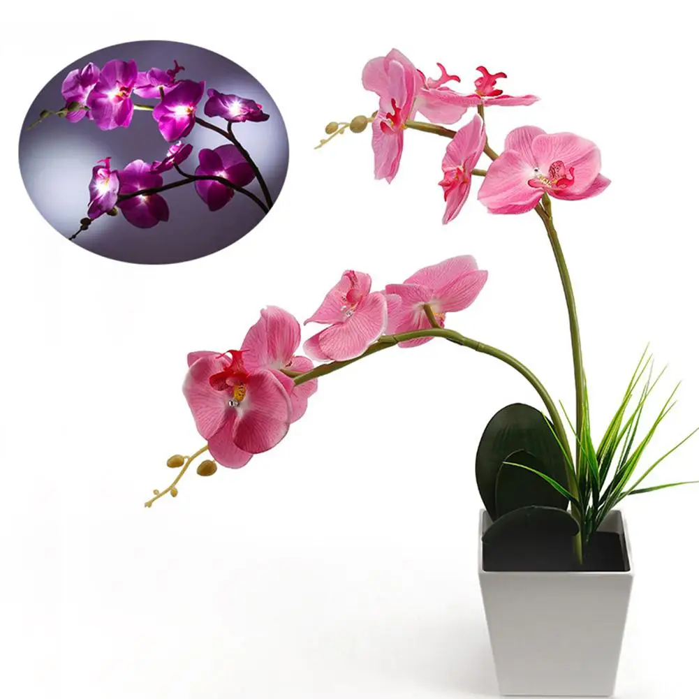 TPFOCUS 9LEDs Elegant Phalaenopsis Pot Lamp with Pink Petals for Home Office Table Decor
TPFOCUS 9LEDs Elegant Phalaenopsis Pot Lamp with Pink Petals for Home Office Table Decor