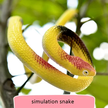 1pc Halloween bluff snake novelty simulation elastic animal model creative funny prank antistress toy
1pc Halloween bluff snake novelty simulation elastic animal model creative funny prank antistress toy